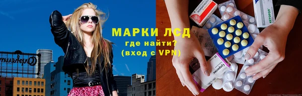 ПСИЛОЦИБИНОВЫЕ ГРИБЫ Вязьма