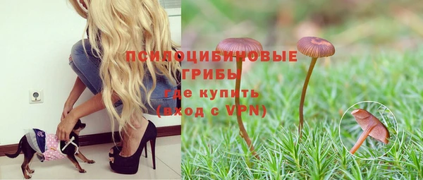ПСИЛОЦИБИНОВЫЕ ГРИБЫ Вязьма