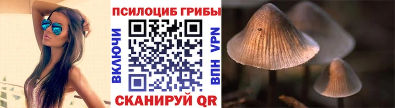 Псилоцибиновые грибы MAGIC MUSHROOMS  где продают   Кумертау 